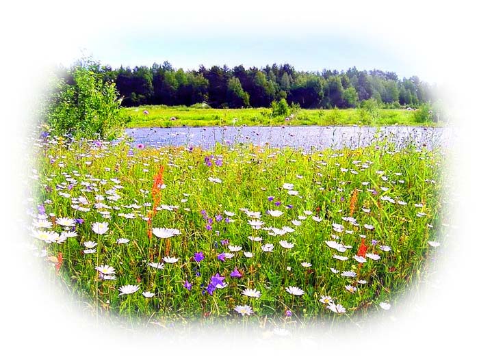 Лето, ты где