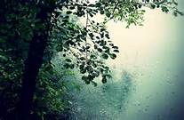 Не стучи дождь...