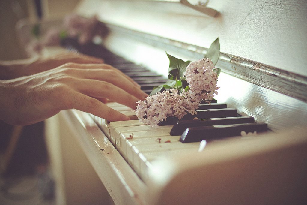 Волю чувствам