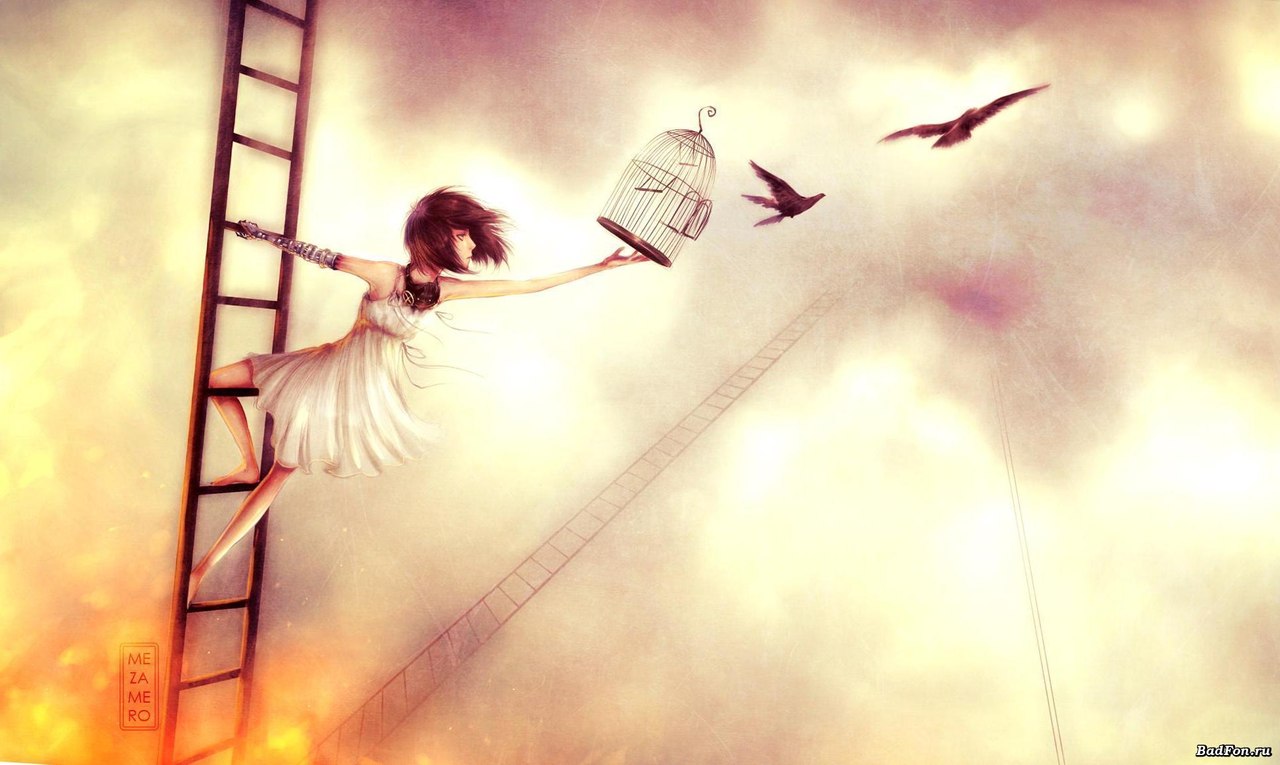 Почему же Вы люди не птицы?