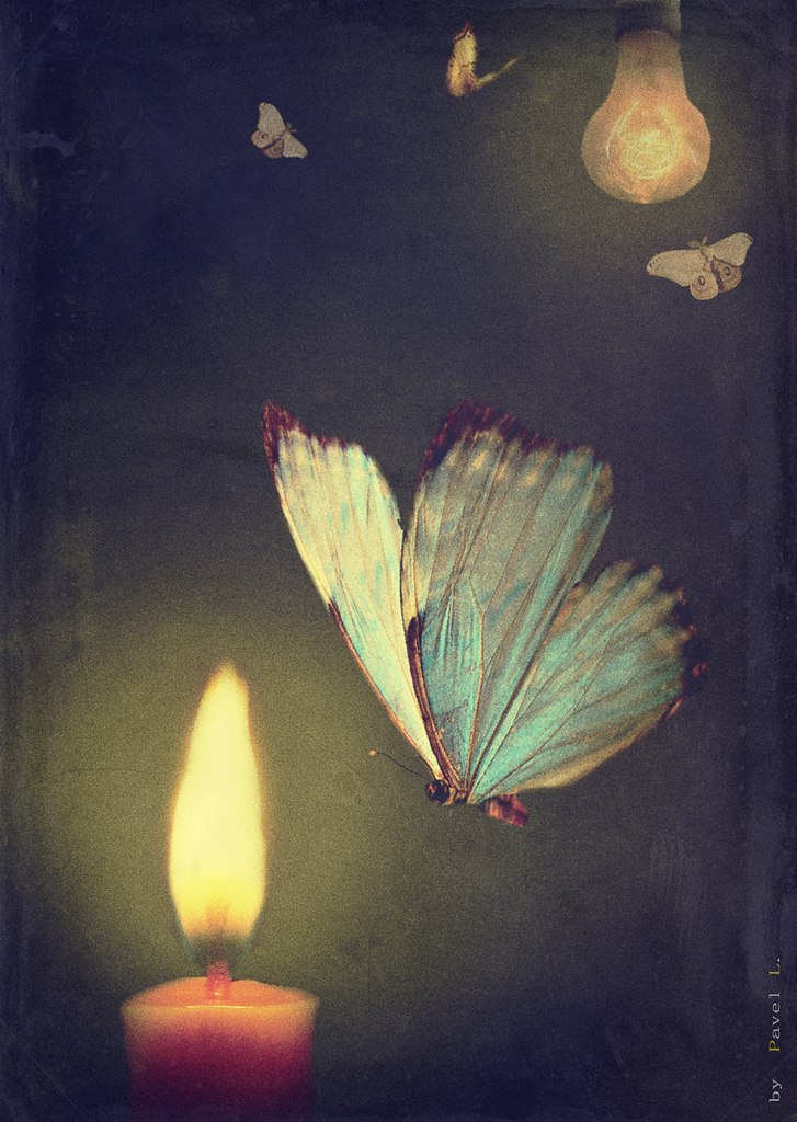 Каждому в жизни присуще свое