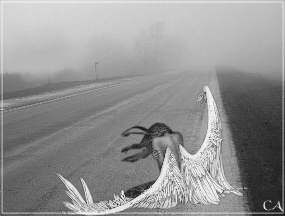 Спасите ангела