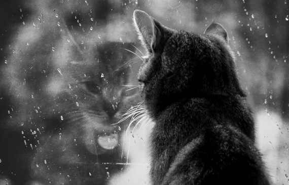 Дождь барабанит целый год