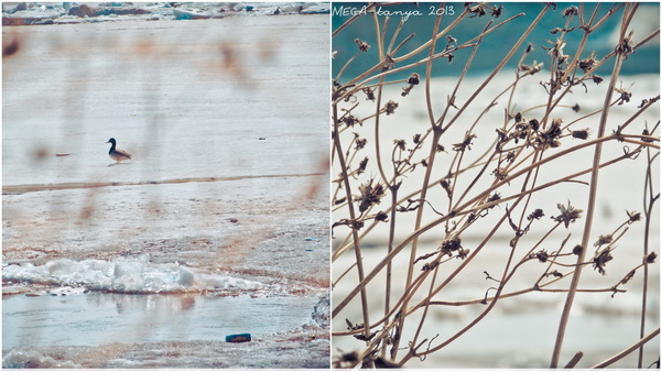 апрельское