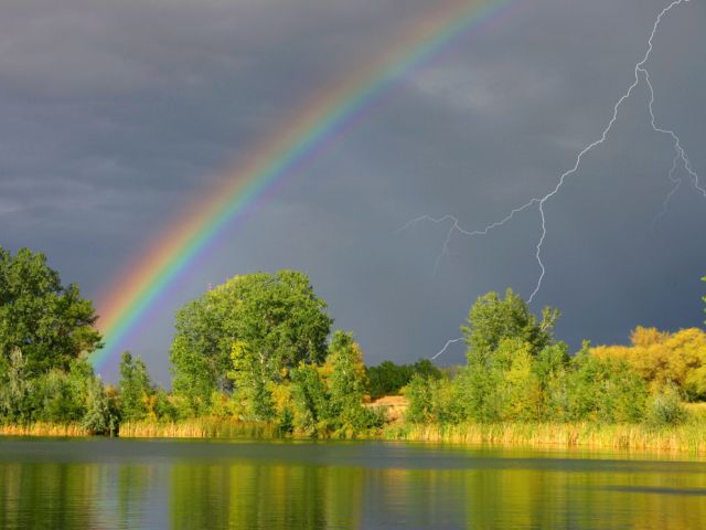 Жизнь прекрасна!