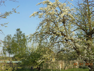 И в мэнэ е крохы сылы й,