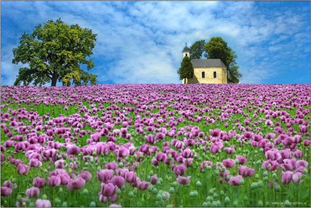 Так в жизни бывает