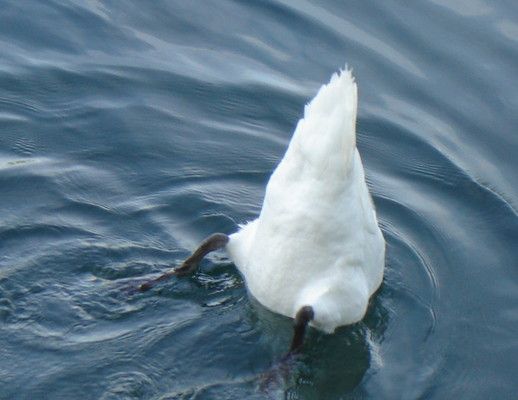 Оглянувшись