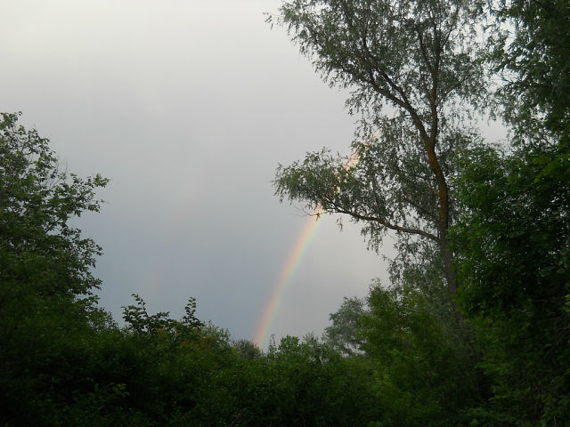 После дождя