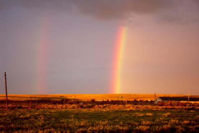 Нарисуй мне...