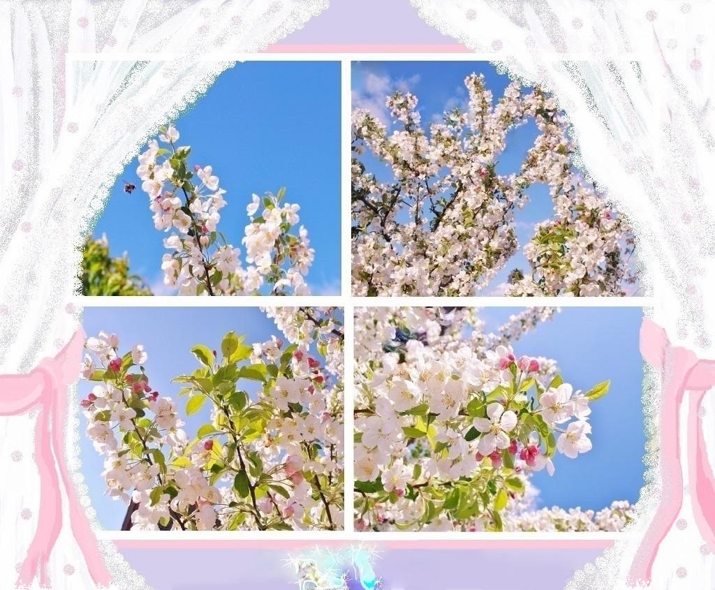 Картина солнцем-Яблоневый сад