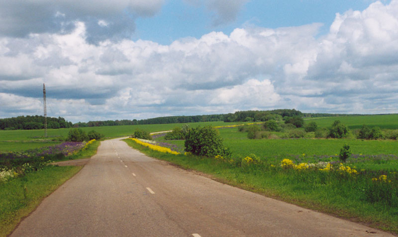 Жизни дорога