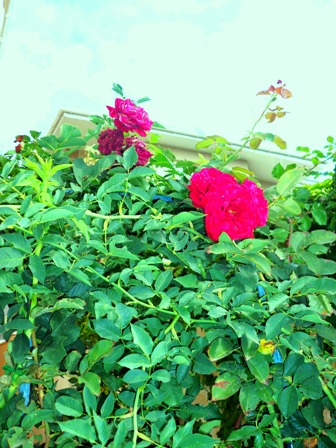 Компромисс