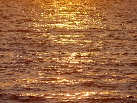 Стокрылое счастье пиита