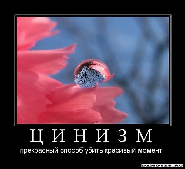 Цинизм примеры из жизни