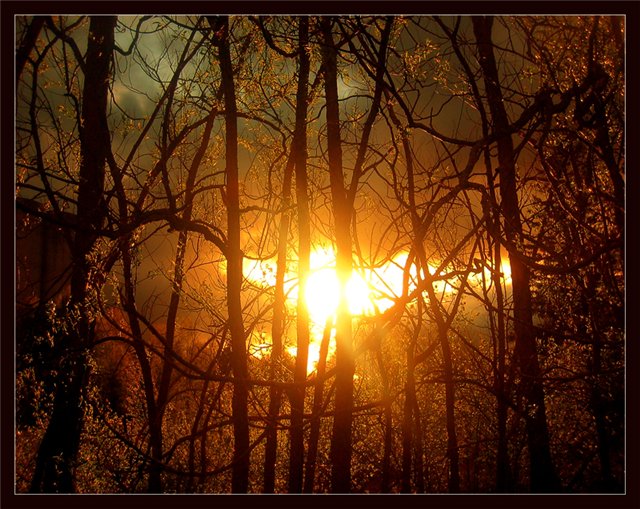 Серебристый Ангел