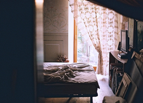 Мы кормили пугливых птиц