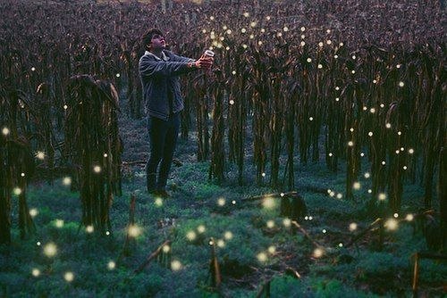 Хрупкая ваза, кроткий цветок