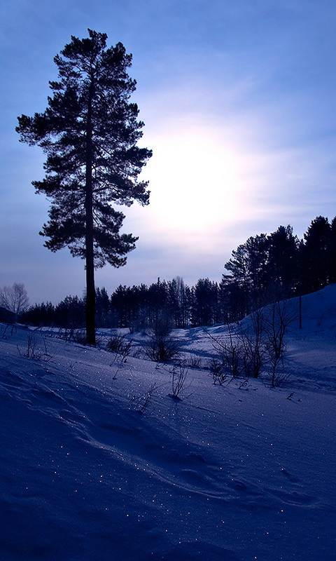 Бессонные ночи и дни на пролеты...