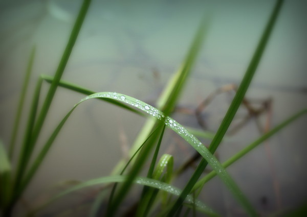 ты случишься