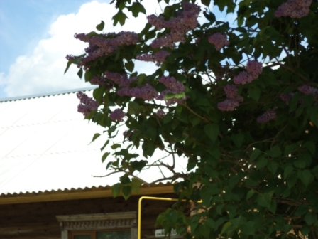 Мы выйшов тута, ну, вш