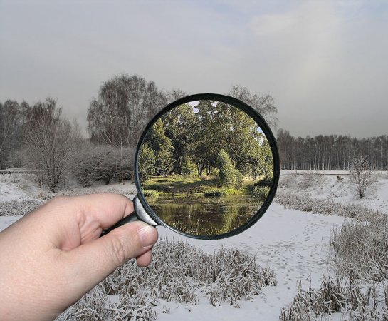 Я ни философ, ни поэт...