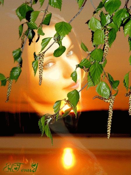 О любви вам больше не пишу...