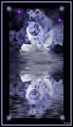 Лебединое танго