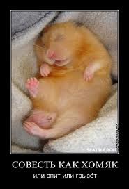 Совет для неё