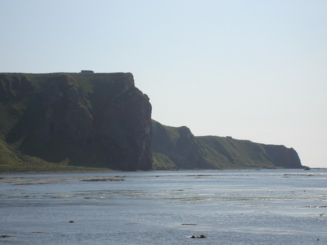 7. Пробуждение