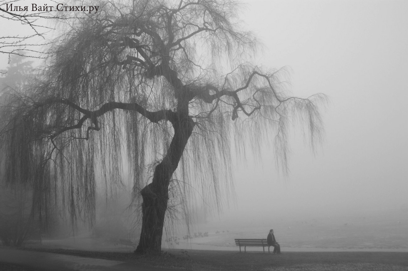 Не поднимая глаз