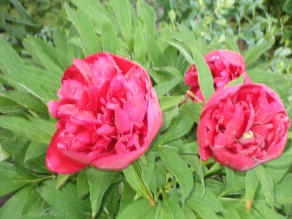 Шо кому куда вТыКать?