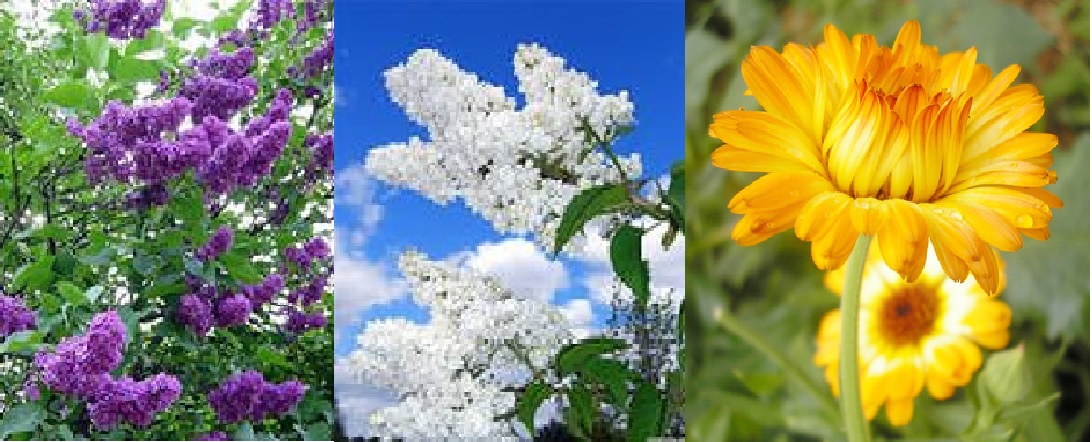 Послевоенное моё детство