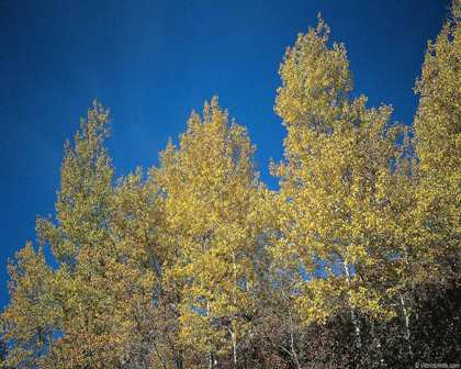 Вот и май неожиданно канул