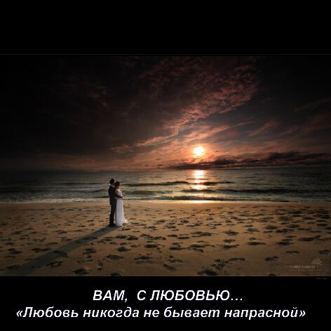 Ночь. Дождь. Тишина