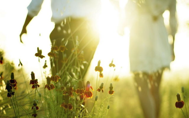 Мы пойдем по дороге счастья...