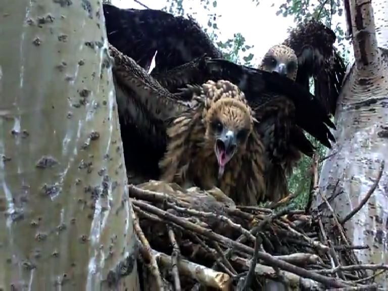 Вы можете злиться