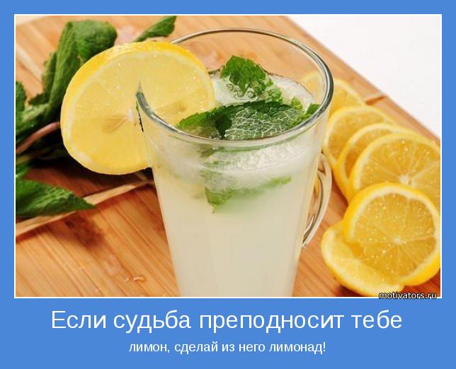 О судьбе и достоинстве