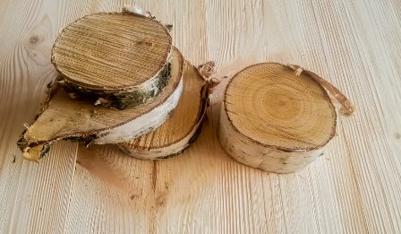 Берёзовые кольца