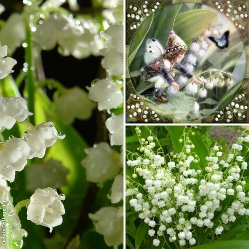 Сказка, рассказанная на ночь