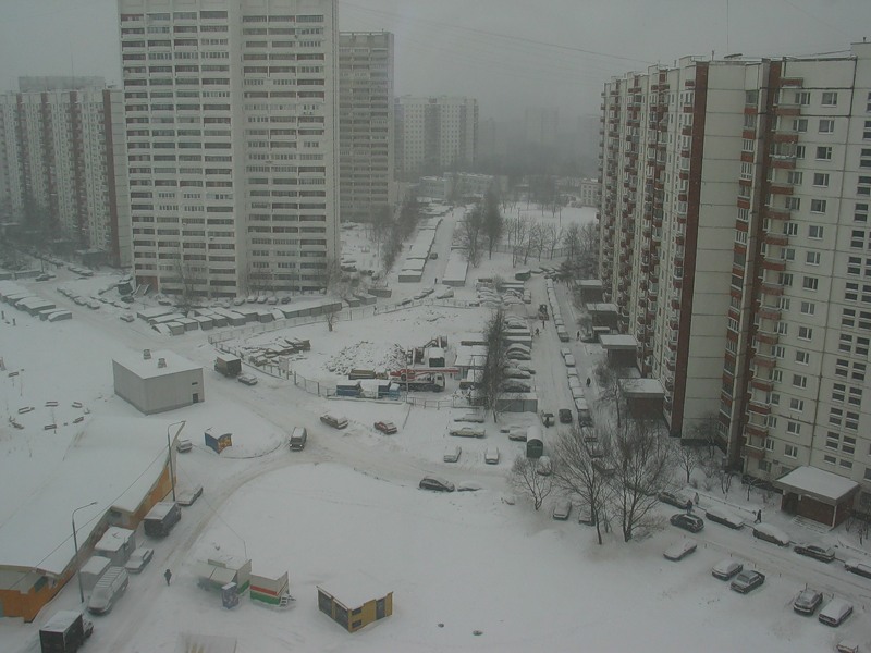 Чёрно-белая зима