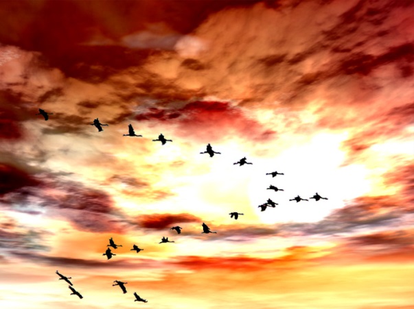 Кем нарисован был этот рассвет?