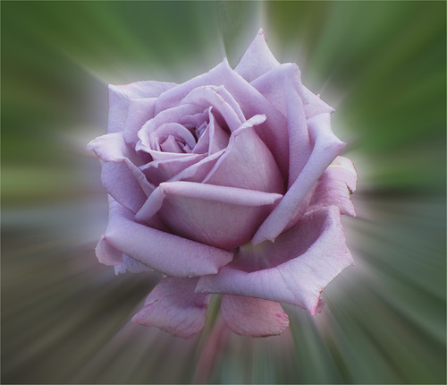 Оглянись вперед