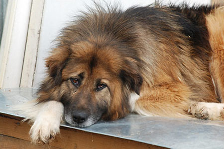 Тонкая материя