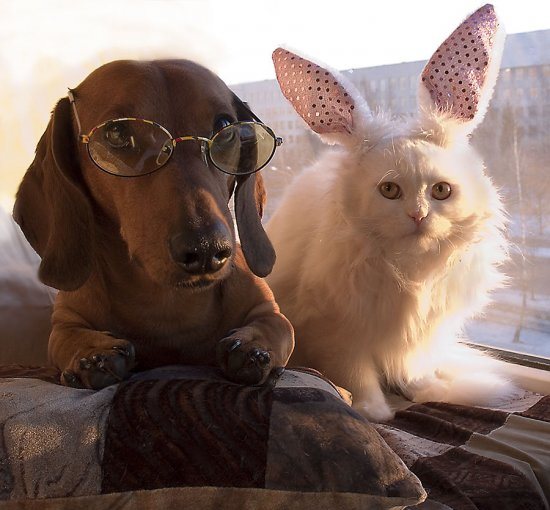 Судьба играет в преферанс