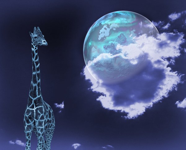 Эхо Гумилевского Чада