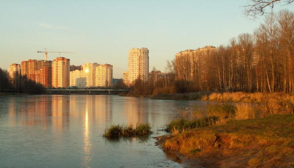 Окружающая меня среда