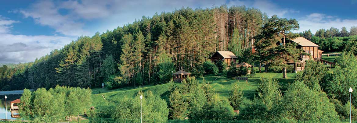 Боярышник. Боярышника поросль на склонах