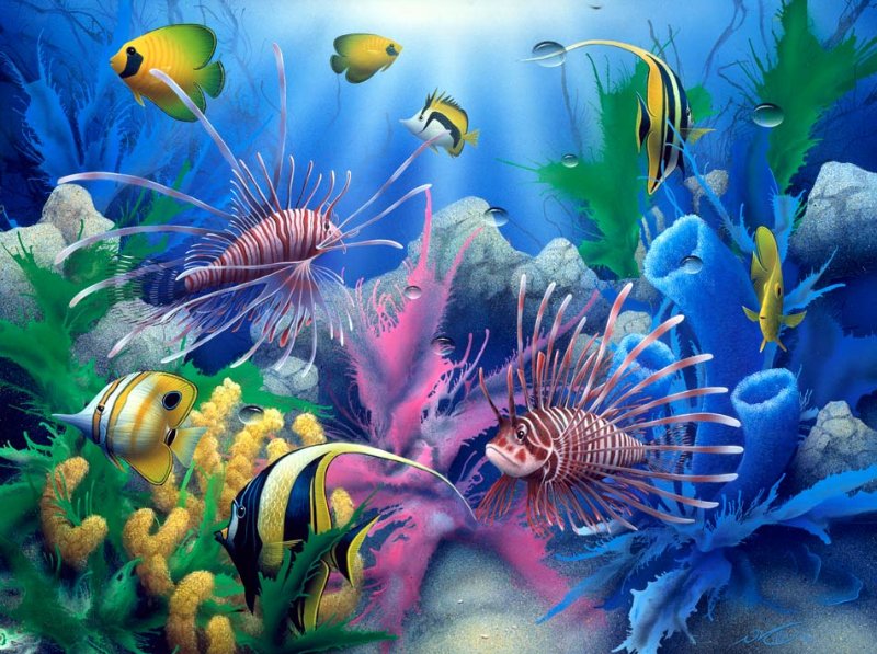 Подводный Мир Океанов Фото Подводный Мир Океанов Фото