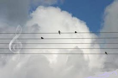 Хмурый день